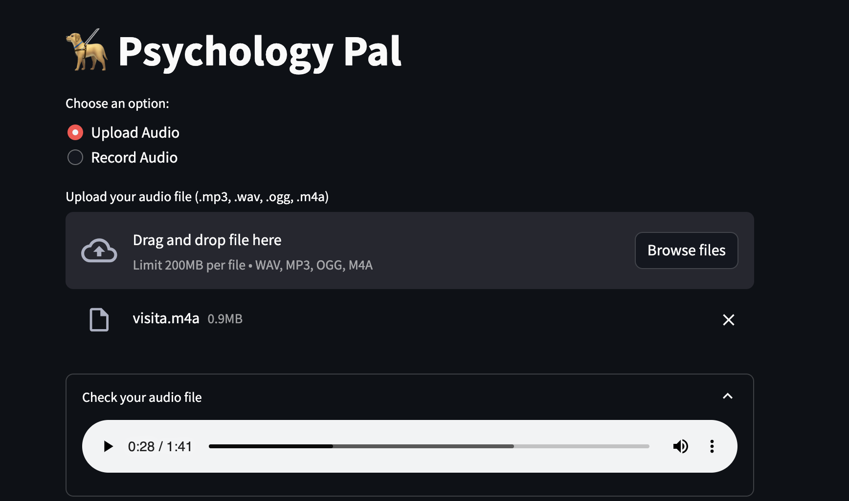 The Psychology Pal upload screen, with an audio file loaded and a player ready to review it